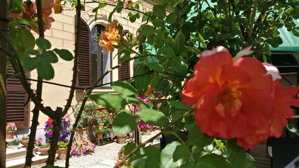 La Chicca B&B Siena Luaran gambar